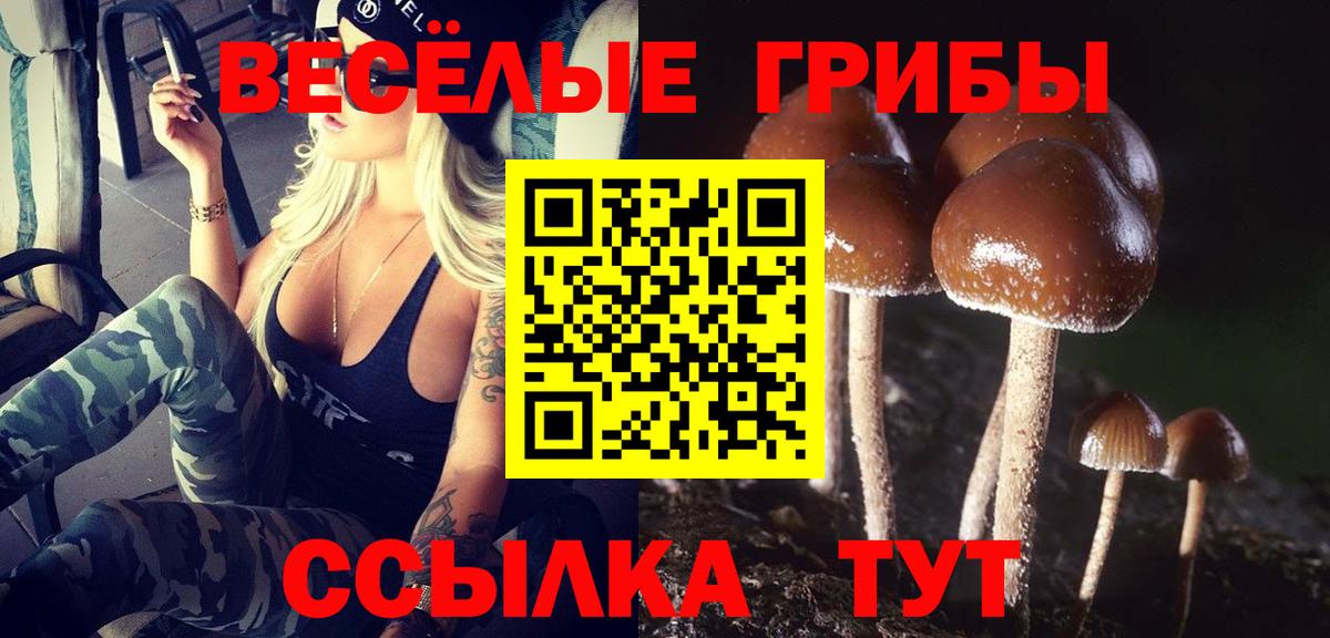 Зеленогорск  Галлюциногенные грибы MAGIC MUSHROOMS  Галлюциногенные грибы Cubensis  Вход с VPN 