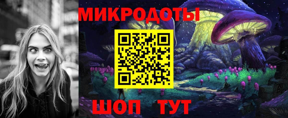 Псилоцибиновые грибы прущие грибы Зеленогорск
